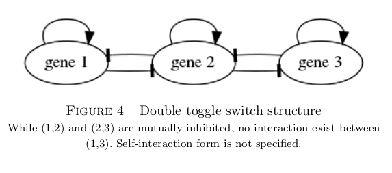 double-toggle-switch-structure