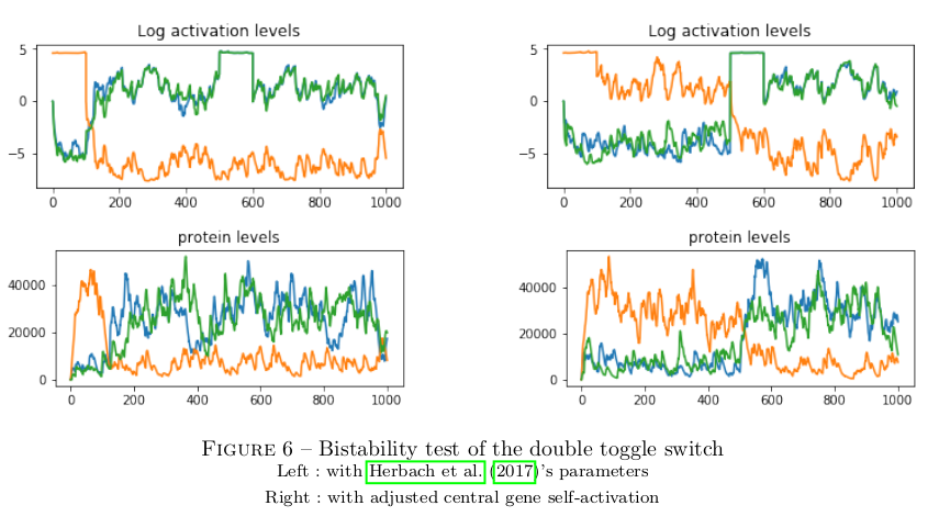 dynamics-bistability