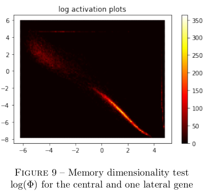 dynamics-dimensionality