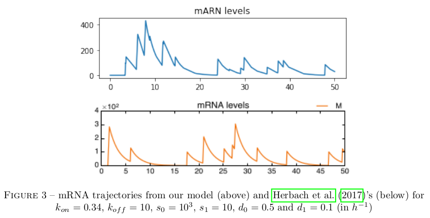 Gene expression dynamics