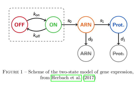 Gene expression model